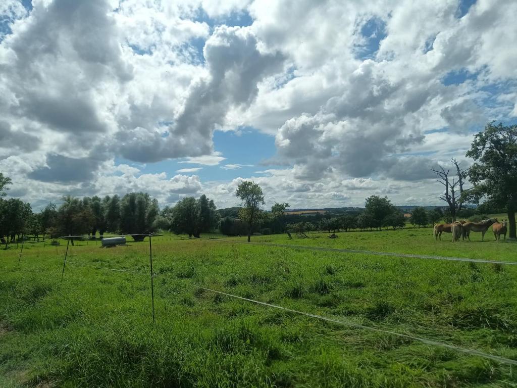Příroda nedaleko apartmánu