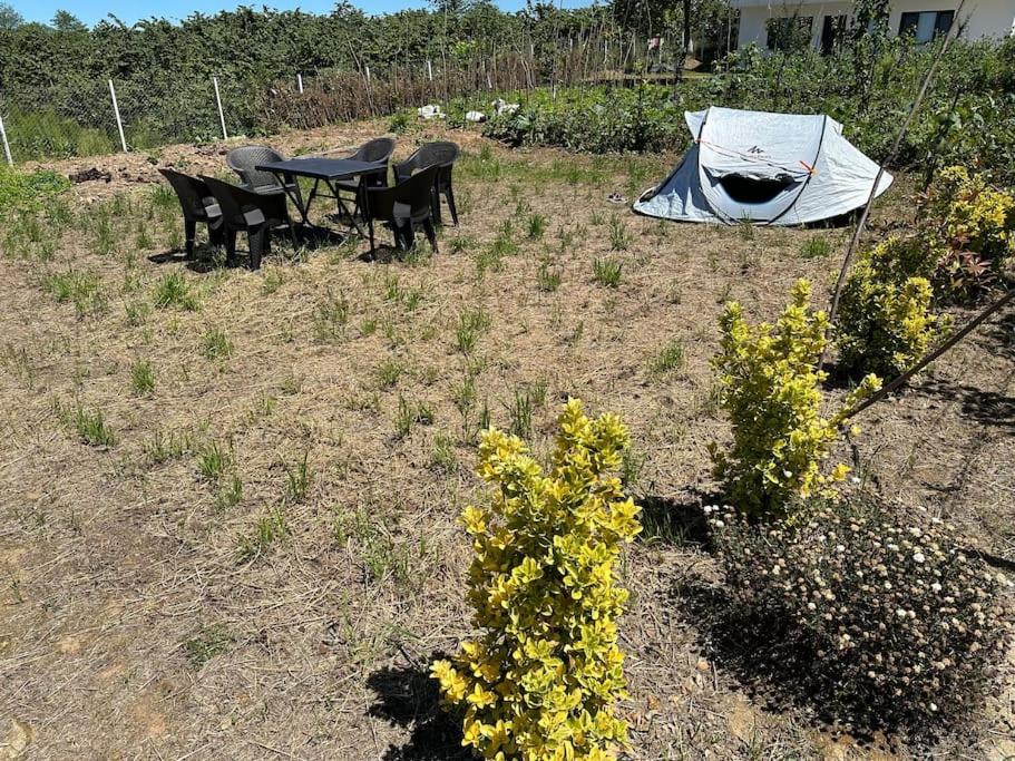 Zahrada ubytování Köşk de Müstakil bahçeli Konak