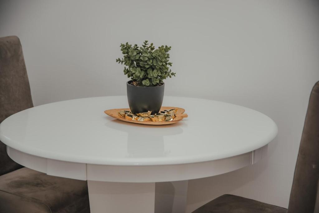 Fotografie z fotogalerie ubytování Jes Apartments v destinaci Leskovac
