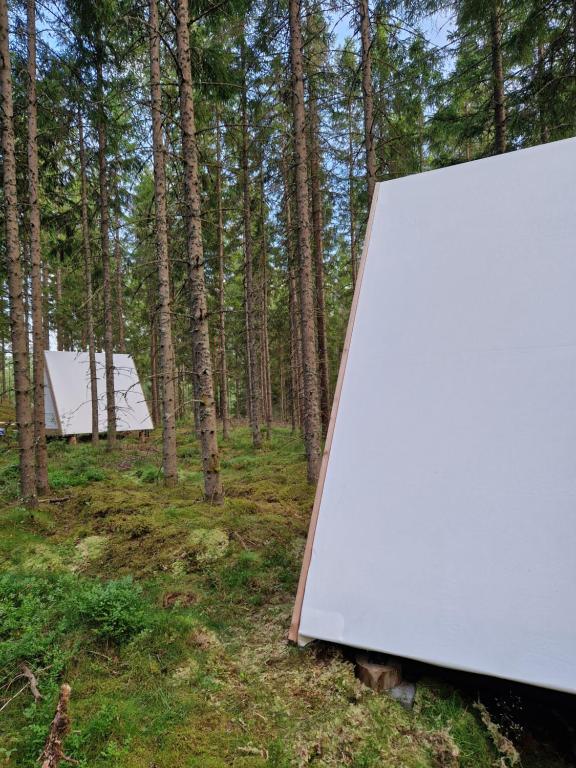 Příroda nedaleko luxury tent