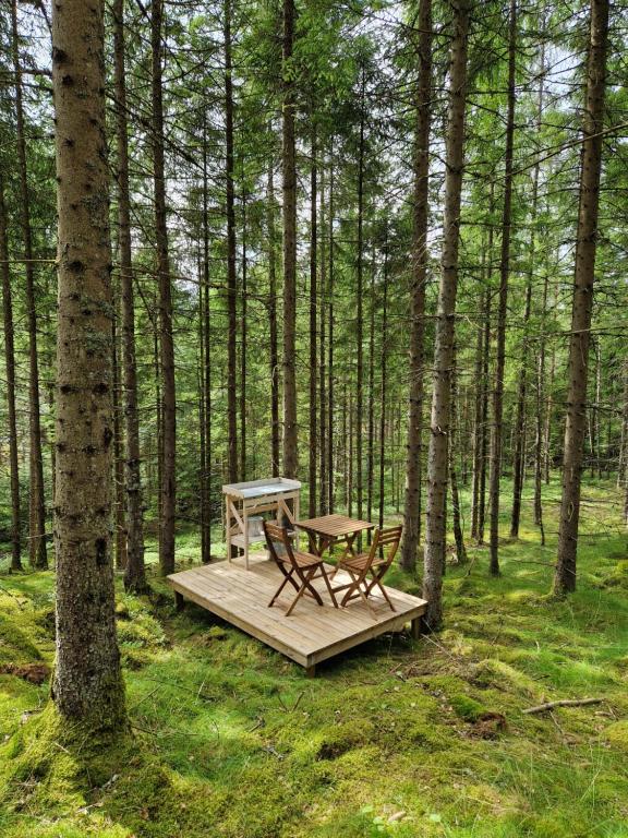 Zahrada ubytování Happie Camp - Ängasjö