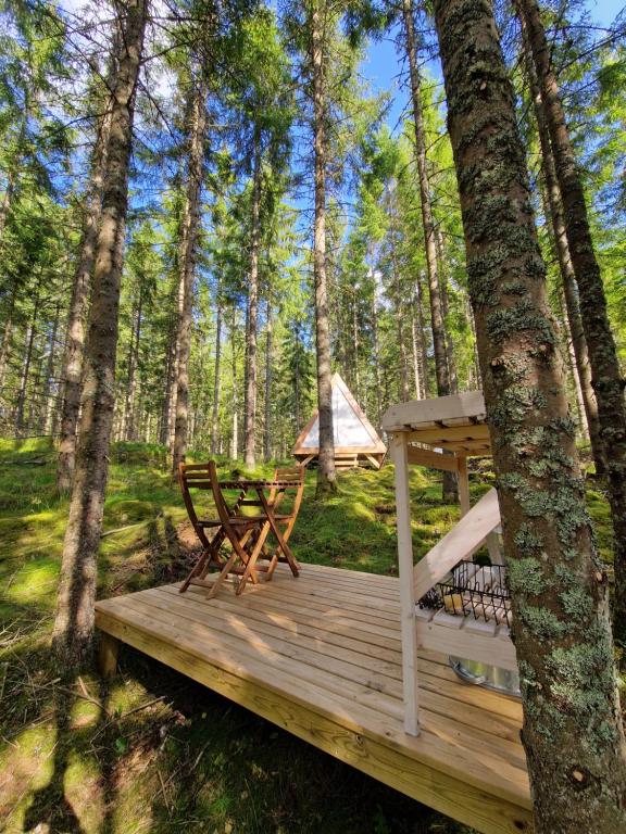 Příroda nedaleko luxury tent