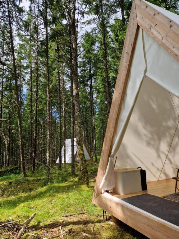 Příroda nedaleko luxury tent