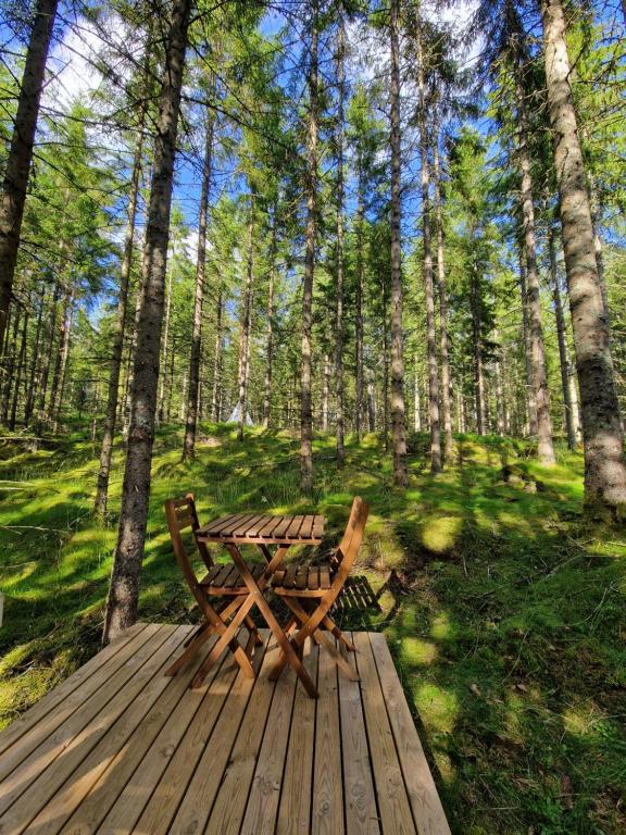Příroda nedaleko luxury tent