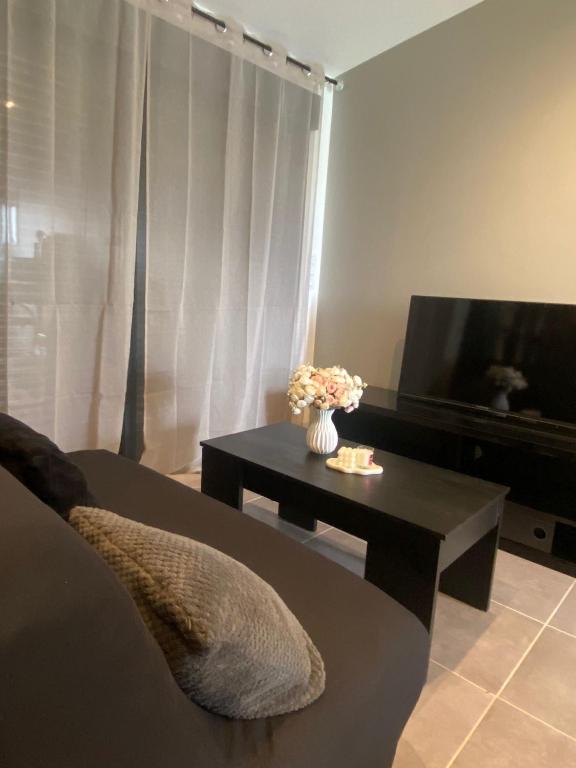 Il comprend un salon doté d'un canapé et d'une table avec une télévision. dans l'établissement Le charmant studio, à Baillargues