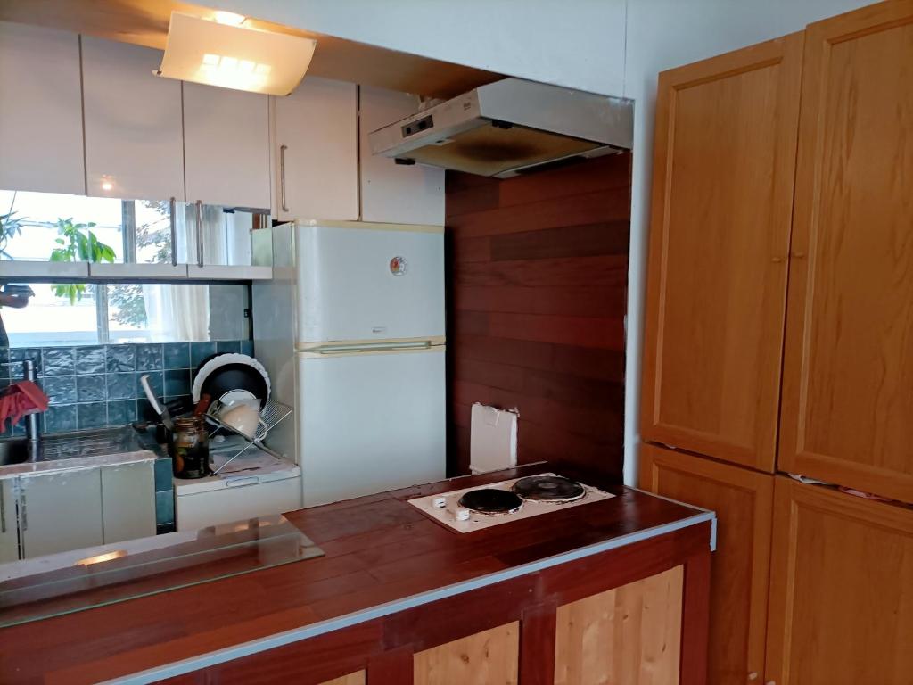 une cuisine avec un réfrigérateur blanc et un comptoir dans l'établissement Green Paris 1, à Neuilly-sur-Seine