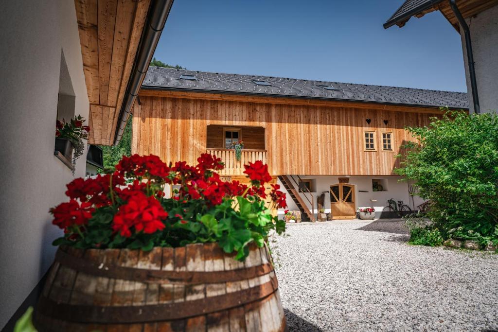 Zahrada ubytování Country House Trata