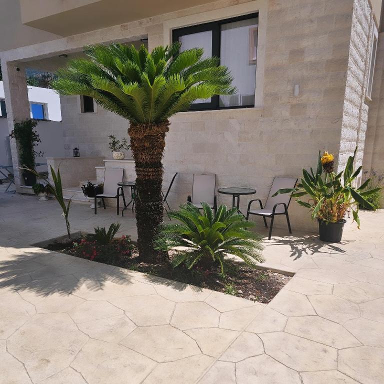 Fotografie z fotogalerie ubytování La Vida Apartments v destinaci Babalonija