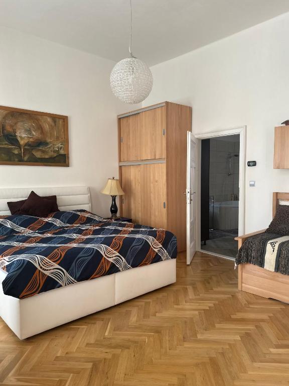 Comfort Apartment Brno-city center - 5