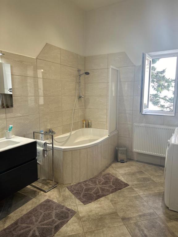 Comfort Apartment Brno-city center - 10