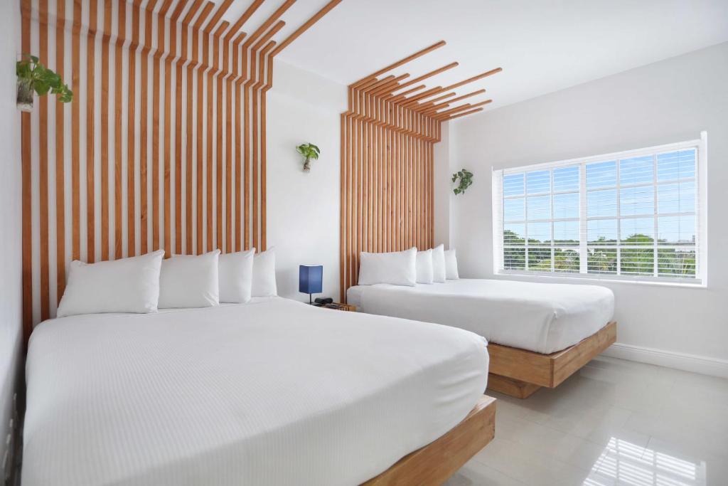 Hotel Belleza photo