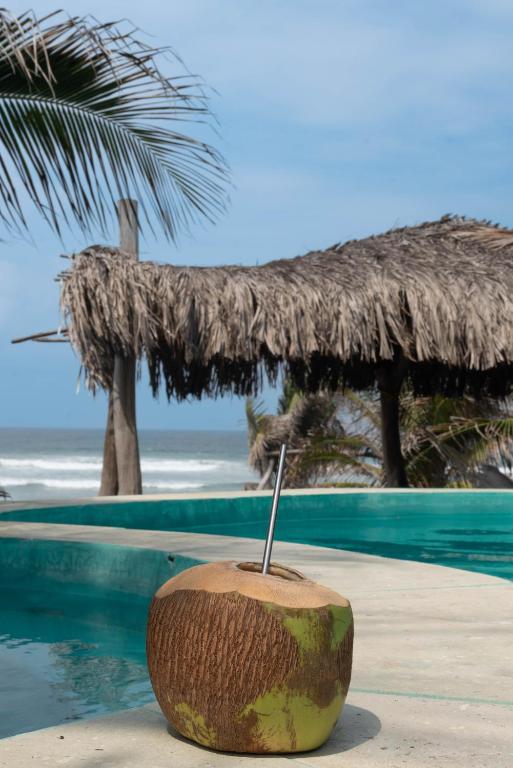 a coconut sitting in front of a swimming pool at Cabanas Adobe Frente Al Mar in Puerto Escondido