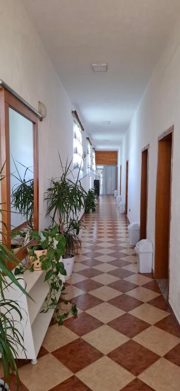 a hallway with potted plants in a building at Hotel Sirena in Vlorë