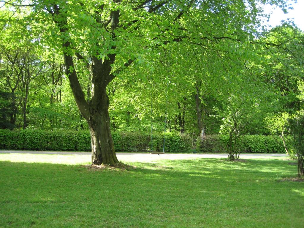 Zahrada ubytování Gunneruphus Bed & Breakfast