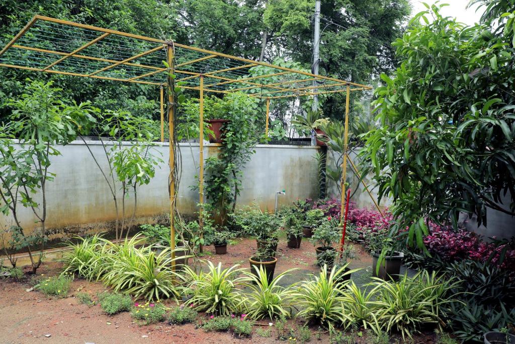 a garden with a bunch of plants at Bethel Homestay Thiruvallam in Trivandrum