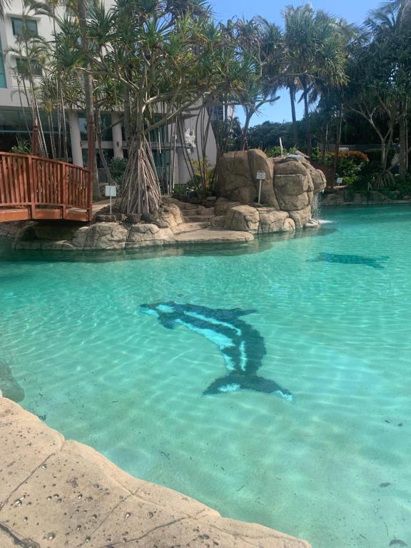 una persona nadando en una piscina de agua en Crown Towers - Private Apartment, en Gold Coast