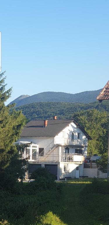 a large white house in the middle of a field at Design Apartments Tomelana in Ličko Petrovo Selo