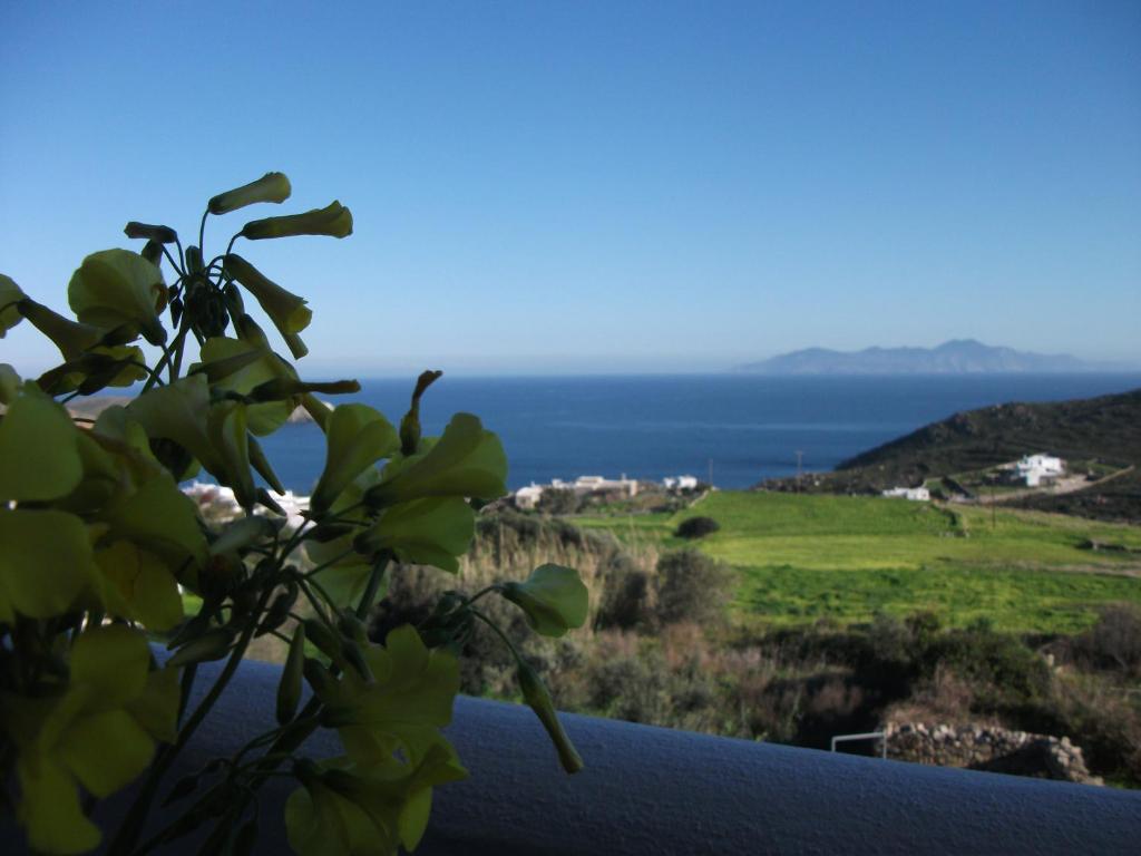 Paisaje cerca de este apartamento