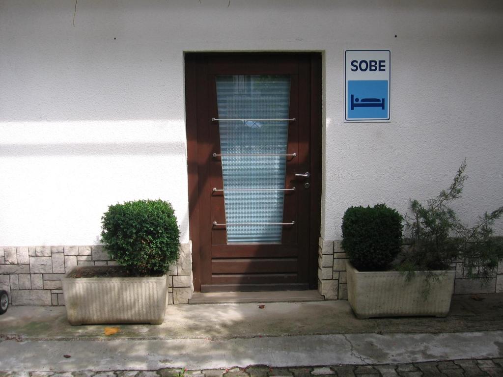 una porta di una casa con due piante in vaso davanti di Guest House Rože a Ilirska Bistrica (Bisterza)