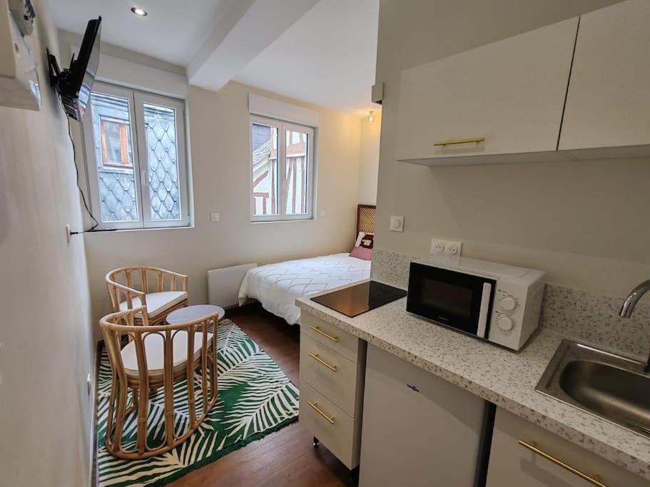 A kitchen or kitchenette at Le petit écureuil studio Hypercentre