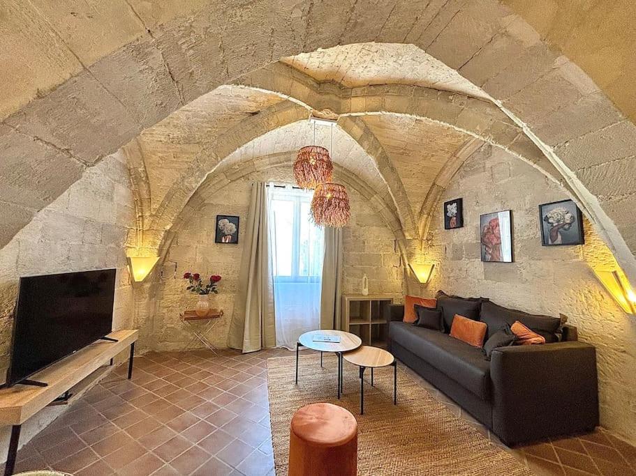 un salon avec un canapé et une télévision dans l'établissement Joli appartement voûté dans le centre ville, à Avignon