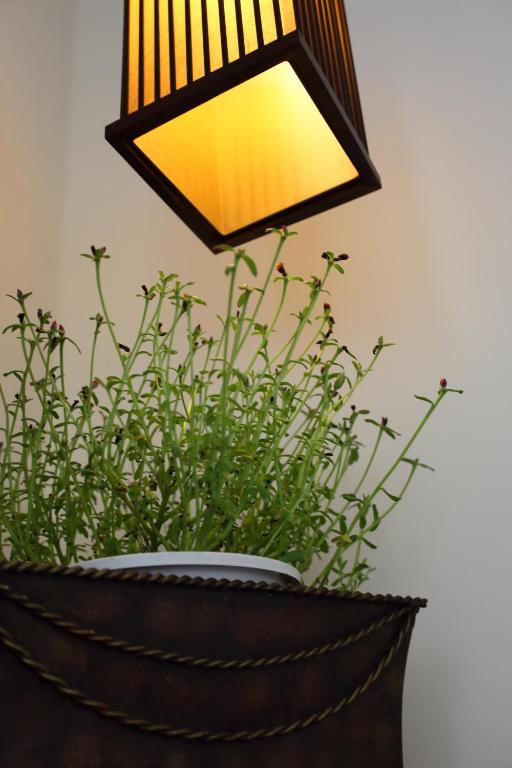 Fotografie z fotogalerie ubytování Spring Spa Hotel v destinaci Wu-laj