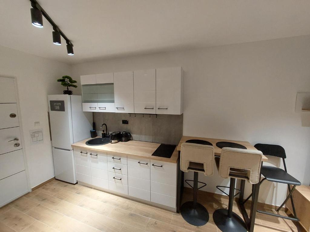 Een keuken of kitchenette bij Apartman Anna Srebrno jezero