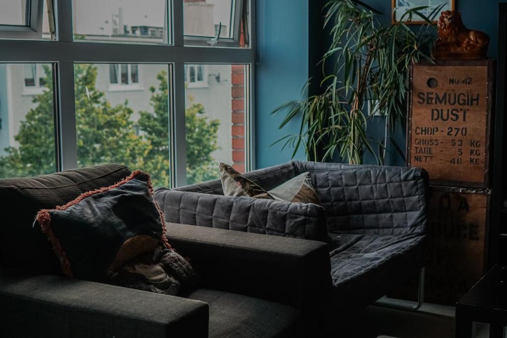 Posezení v ubytování Garden Lane Backpackers