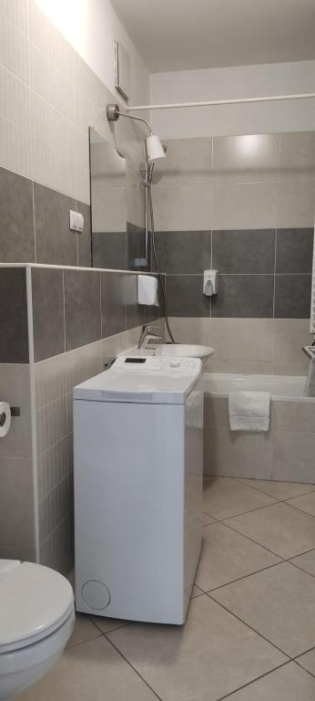 Kúpeľňa v ubytovaní Corvin Center Suites