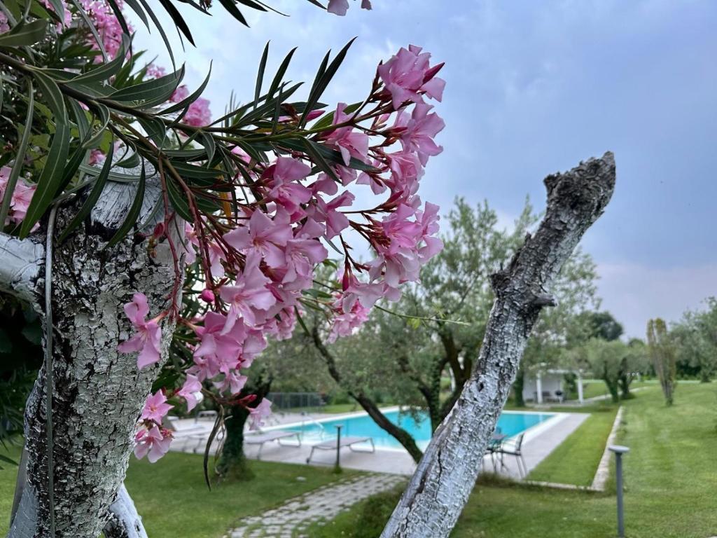 Bazén v ubytování Villa Athena Charme nebo v jeho okolí