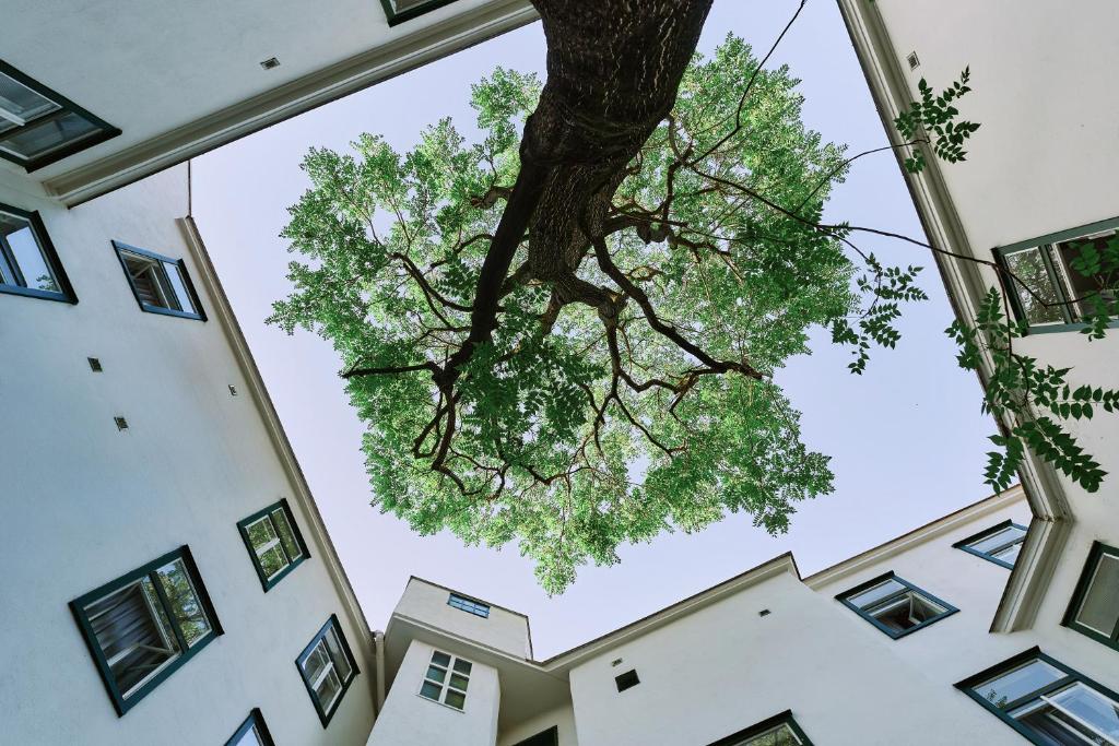 Hotel Westbahn - Resim 9