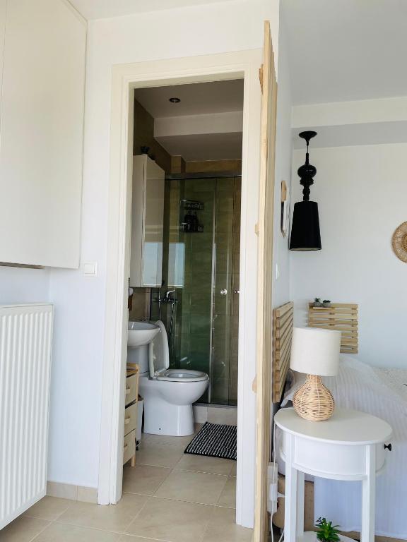 Koupelna v ubytování Sea View Luxury Studio Palaio Faliro