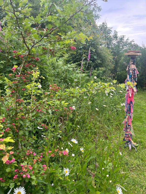 Hosté ubytování Gypsy Caravan Glamping