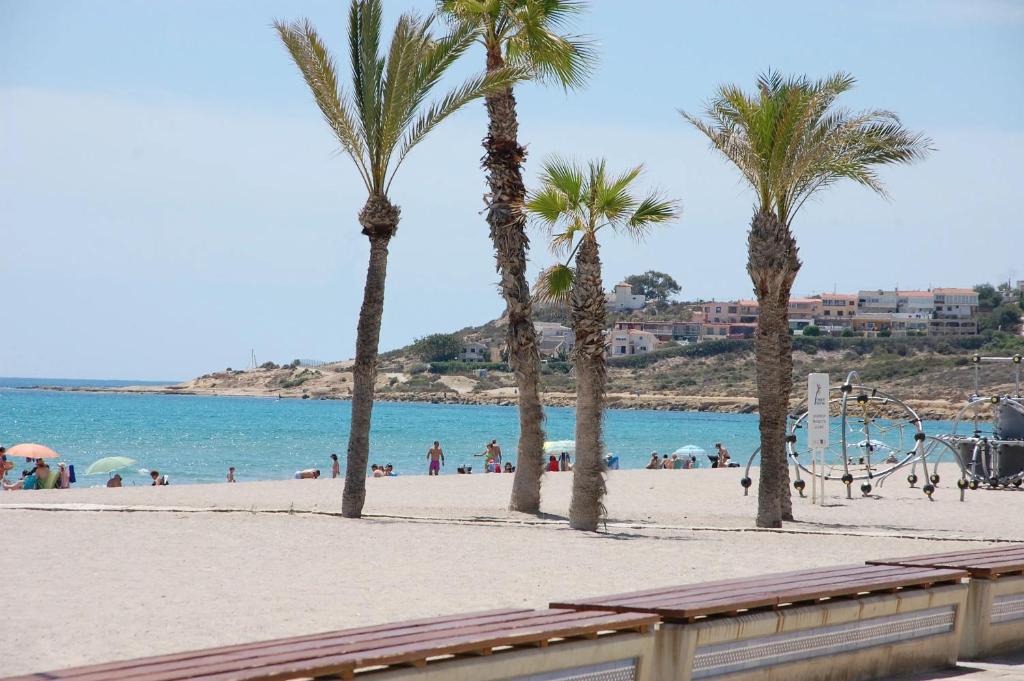 a group of palm trees on a beach at Central & Spacious Miraflores Alicante - High Rated in Alicante