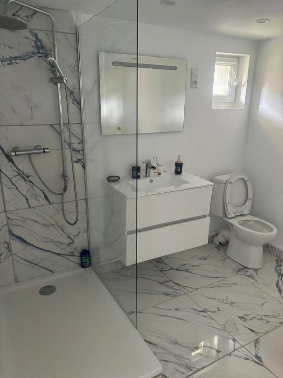 une salle de bain avec une douche, un lavabo et des toilettes dans l'établissement Le deauville, à Trouville-sur-Mer