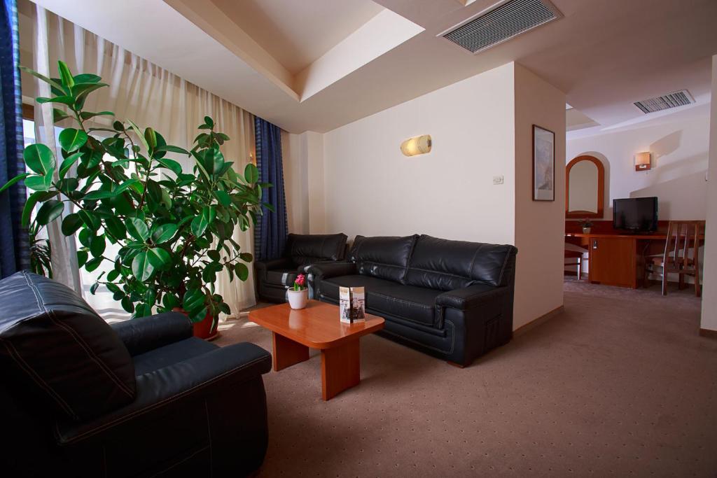 Posezení v ubytování Hotel Irisa