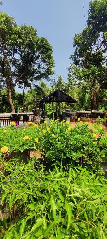 Kenoth Thaliyil Mana, Heritage Homestay - Habitación Doble Presupuestar