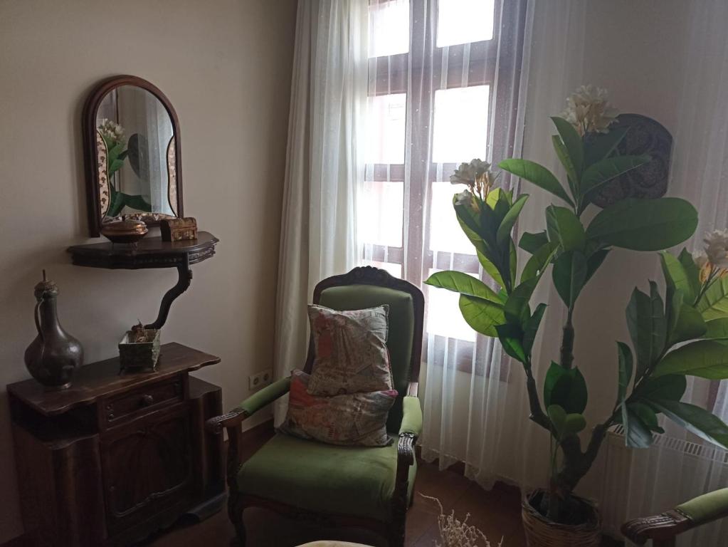 a room with a chair and a mirror and a plant at Chez Nebahat Boutique in Ayvalık