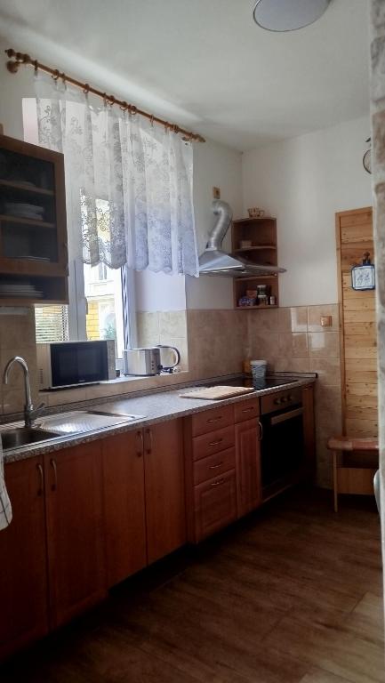 Kuchyň nebo kuchyňský kout v ubytování Apartmány pod Barunčinou školou