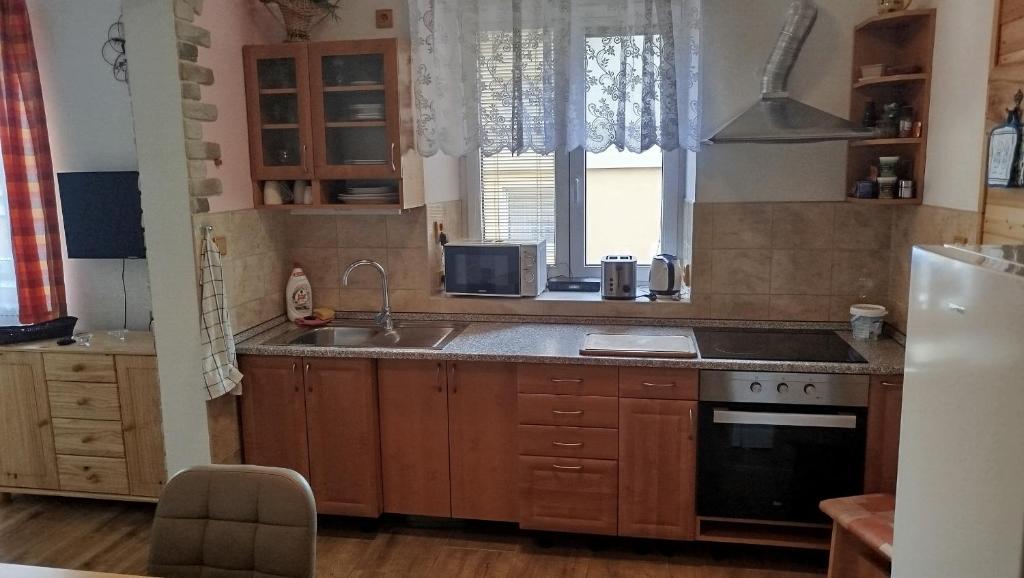 Kuchyň nebo kuchyňský kout v ubytování Apartmány pod Barunčinou školou