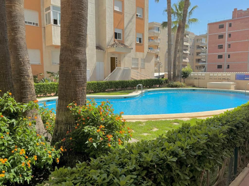 The swimming pool at or close to .Apartamento 1a linea de playa + piscina + parking DAIMUS