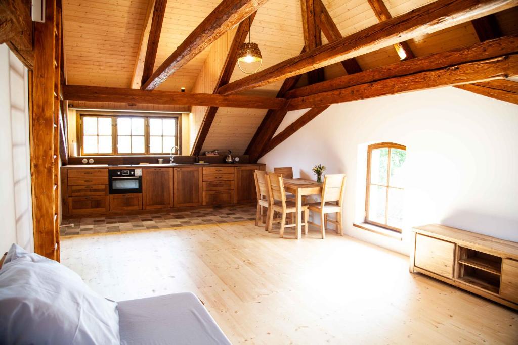 Kuchyň nebo kuchyňský kout v ubytování Apartmány Temechov