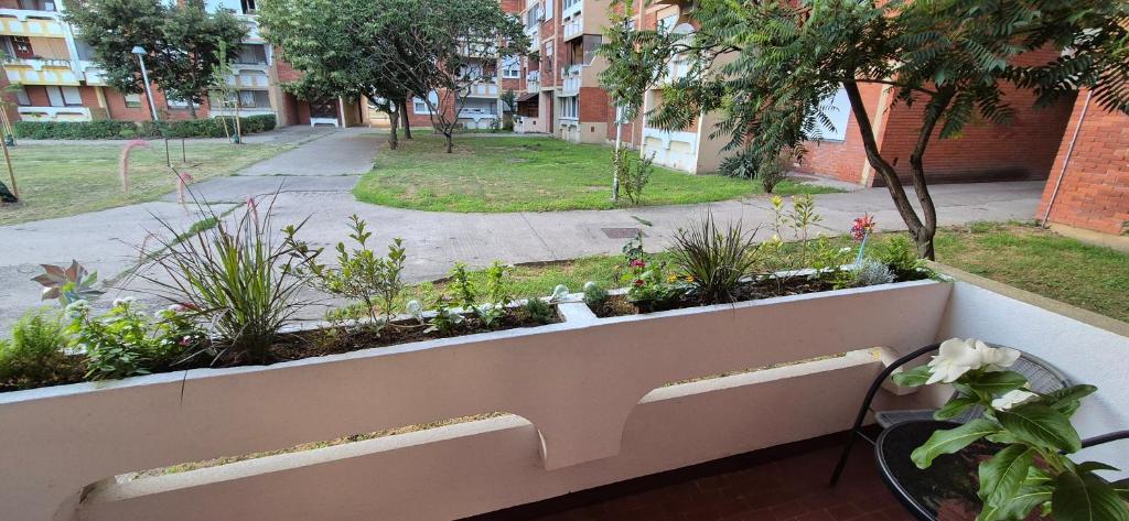 Zahrada ubytování Studio APARTMAN 404-401