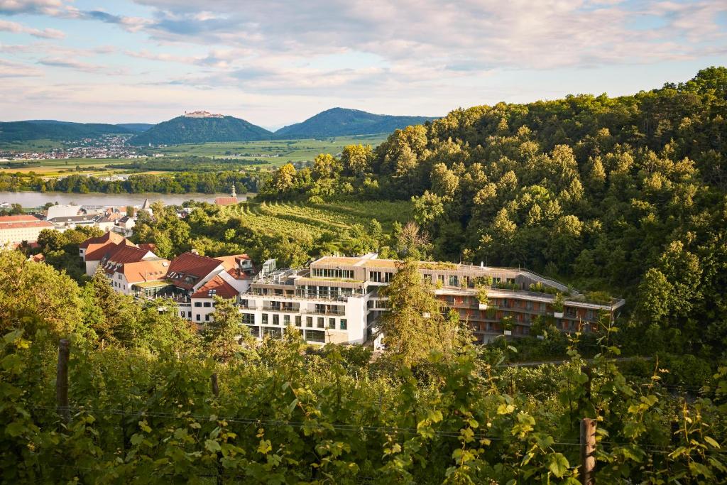 Příroda nedaleko hotelu