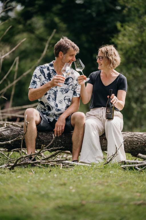 Hosté ubytování Monschein Weingut Straden