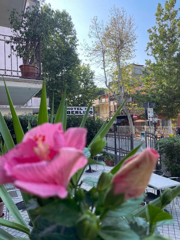 Zahrada ubytování Hotel Berlino
