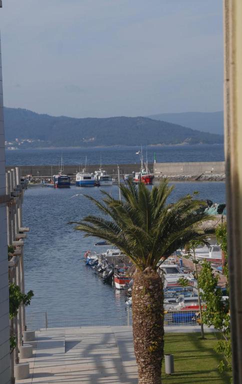 Paisaje cerca de este hotel