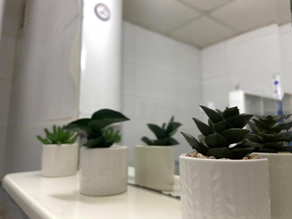 Foto dalla galleria di Apartman Lea a Paraćin