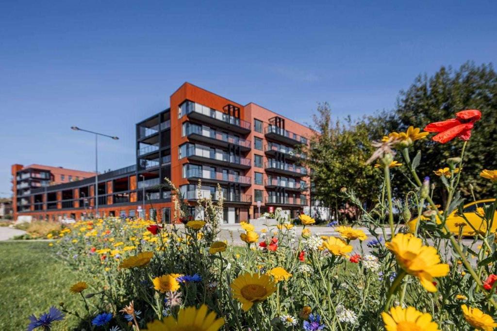 Vonkajšia záhrada v ubytovaní Apartament Nadmotławie 34