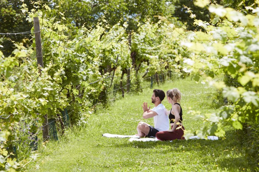 Hosté ubytování Steigenberger Hotel & Spa Krems